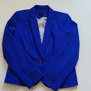 Professional Blue Blazer